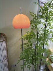 -变美丽半永久纹眉连锁·机器野生眉•洗眉