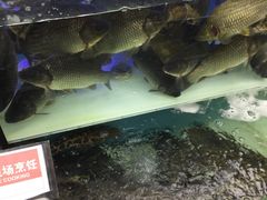 -盒马鲜生(宝地店)