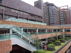 -香港大学