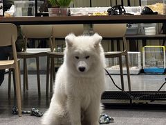 -合景·悠方(成都店)