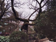 -汇龙潭