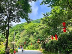 -广州市帽峰山景区