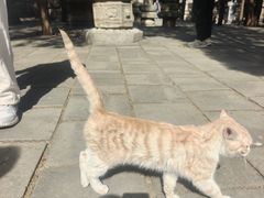 -四门塔风景区