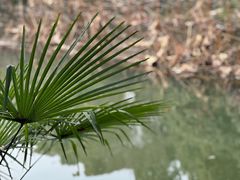-成都杜甫草堂博物馆