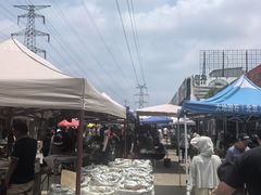-中环花鸟鱼虫市场