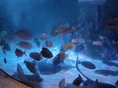 -沈阳海洋探索中心