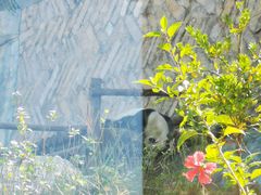 -泉州海丝野生动物世界