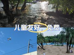 -宝安西湾红树林湿地公园