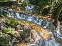 -牛背梁国家森林公园