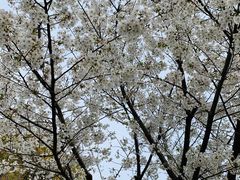 -苏州河梦清园环保主题公园