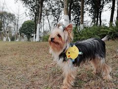 -白鹭湾湿地公园