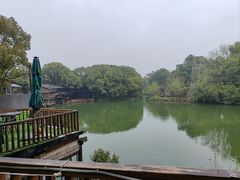 -张鸟园农家乐(张鸟园店)