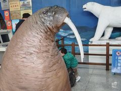 -蓬莱欧乐堡海洋极地世界