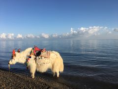 -青海湖国家重点风景名胜区