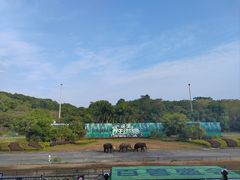 -深圳野生动物园