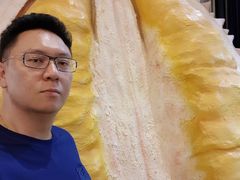 -都念榴莲·城市榴莲