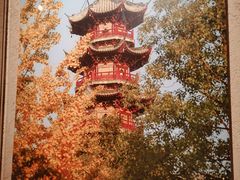 -龙华寺