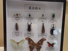-汕头市博物馆