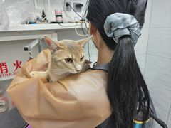 -达爱动物医院·犬猫分区·CT·复杂眼科(远洋山水分院)