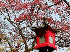 -广州中山纪念堂
