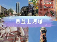 -百益上河城