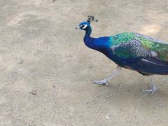 -杭州野生动物世界