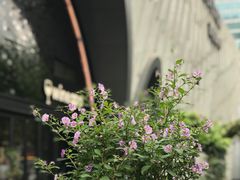 -上海尚嘉中心