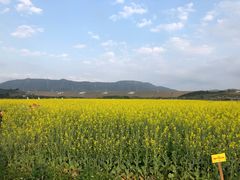 -光明小镇欢乐田园