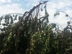 -厦门高崎国际机场-T3航站楼