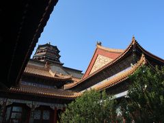 -颐和园