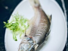 -吴记富苑(朝阳店)