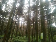 -象山森林公园
