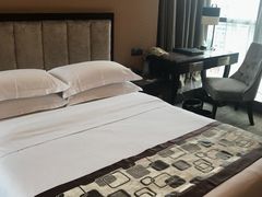 -长沙小天鹅戴斯酒店