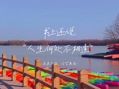 -上海海湾国家森林公园