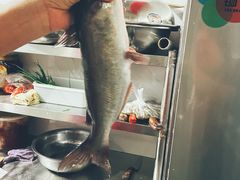 -张氏特色豆花火锅酸汤鱼(江口店)