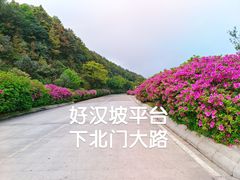 -梧桐山风景名胜区