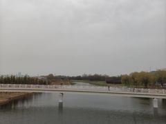 -羊亭河湿地公园