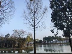-蠡湖大桥公园
