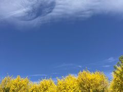 -卡巴机器人编程·少儿编程·信息学竞赛(公益西桥校区)