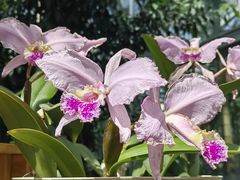 -国家植物园南园