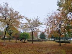 -白塘生态植物园