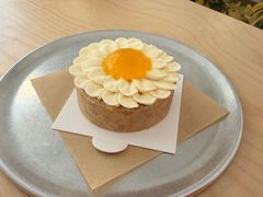 -收获咖啡HARVEST RESERVE(苍山店)