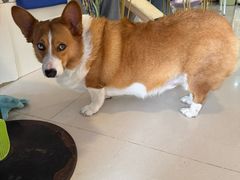 -平行世界·猫咖(首经贸店)