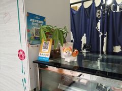 -蜜蜂小象·榴莲千层蛋糕(时代汇11栋店)