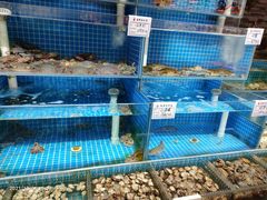 -宏源鑫海鲜餐厅·海景婚宴厅(石老人店)