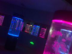 -苏州海洋馆