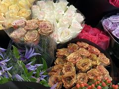 -双季花艺园艺市场(浦东店)