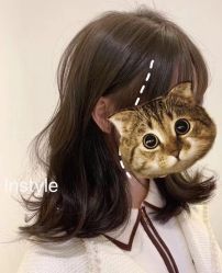 -INSTYLE造型·明星店