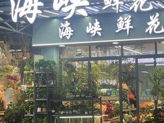 -溪岸路花鸟市场