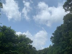 -广州市帽峰山景区